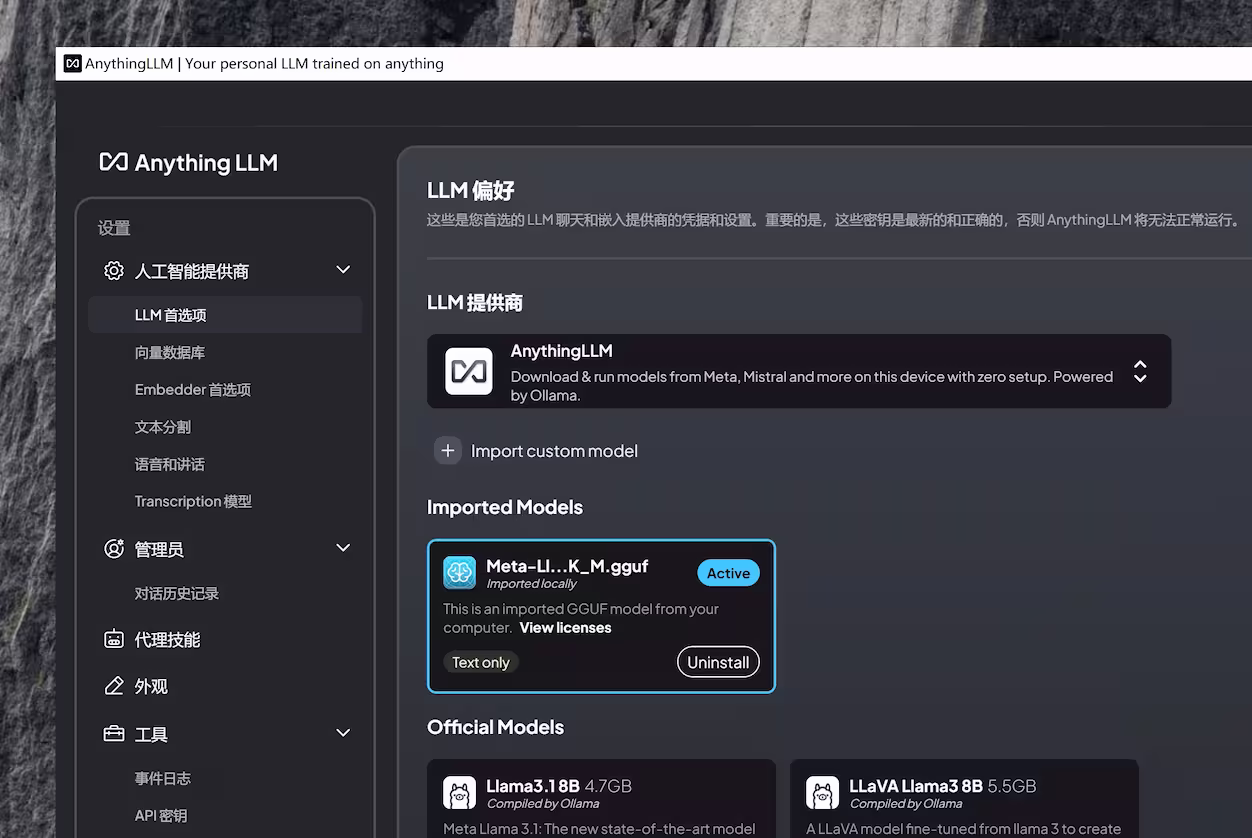 AnythingLLM - 真·一键运行本地 LLM 大语言模型｜全离线操作：与文档聊天、与 AI 聊天 3