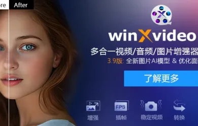 全年最低价| Winxvideo AI – 音频/图片/视频提升和转换工具 12
